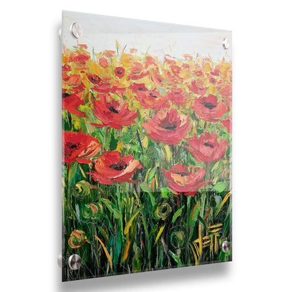 An expressive painting of a field of poppies against a white background. Printed on acrylic.