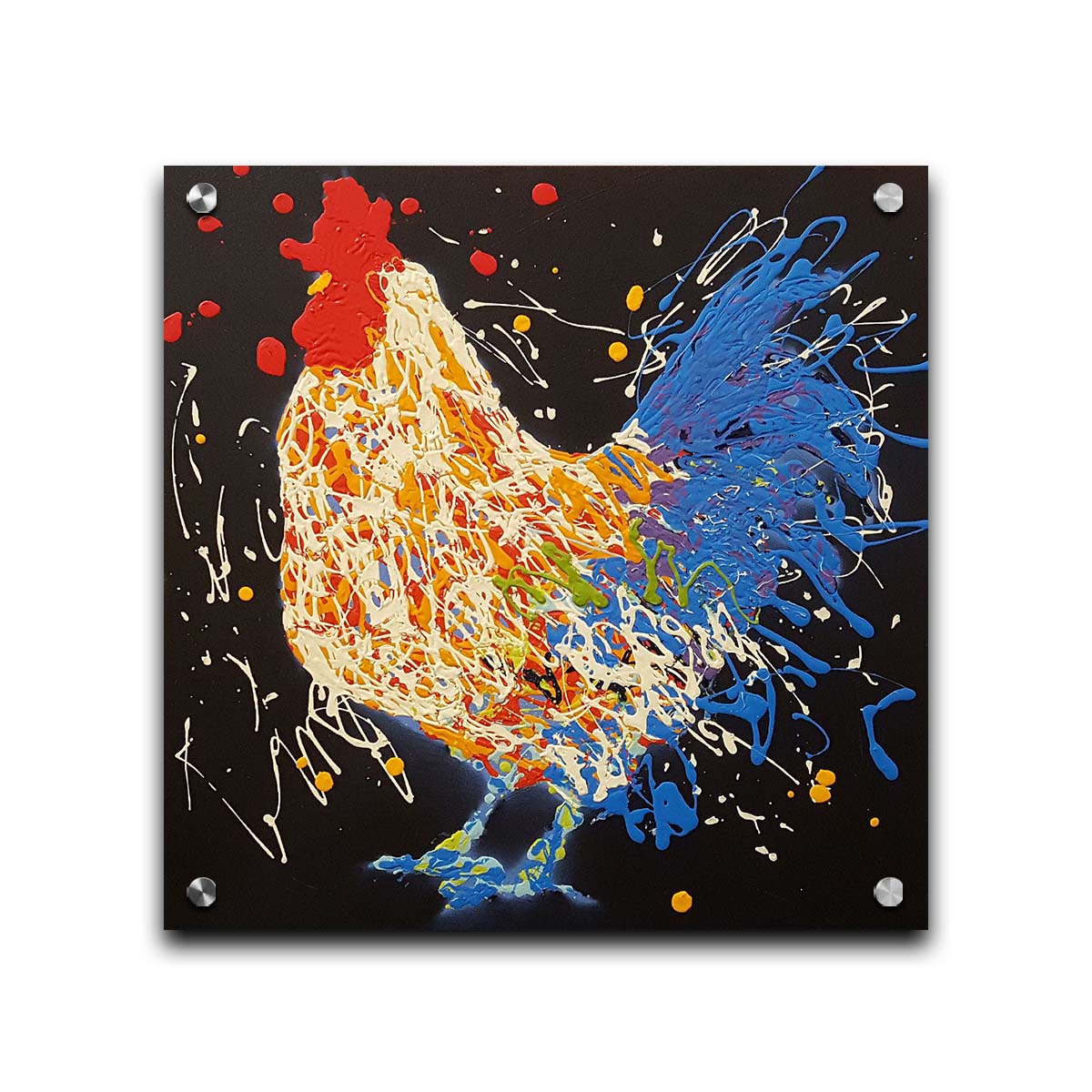 A drip painting of a white and blue rooster on a black background, accented with yellow, red, purple, and green. Printed on acrylic.