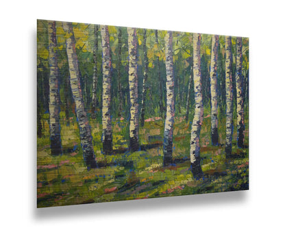 A painting of a bright green forest of birch trees with stark white trunks, accented with blue. Printed on metal.