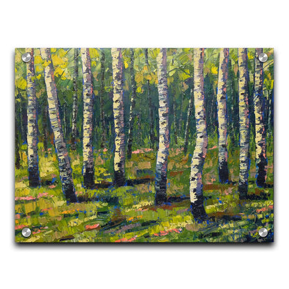 A painting of a bright green forest of birch trees with stark white trunks, accented with blue. Printed on acrylic.