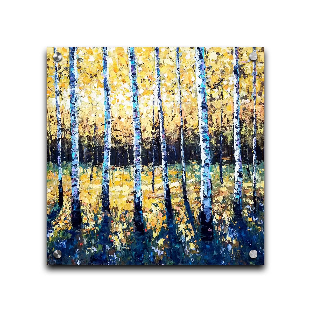 A painting of an aspen forest with yellow leaves. Sunlight shines boldly down through the trees, creating deep blue-green shadows on the ground below. Printed on acrylic.