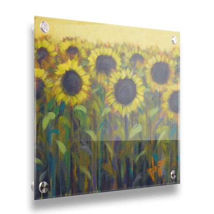 A painting of a group of sunflowers against a yellow background. Printed on acrylic.