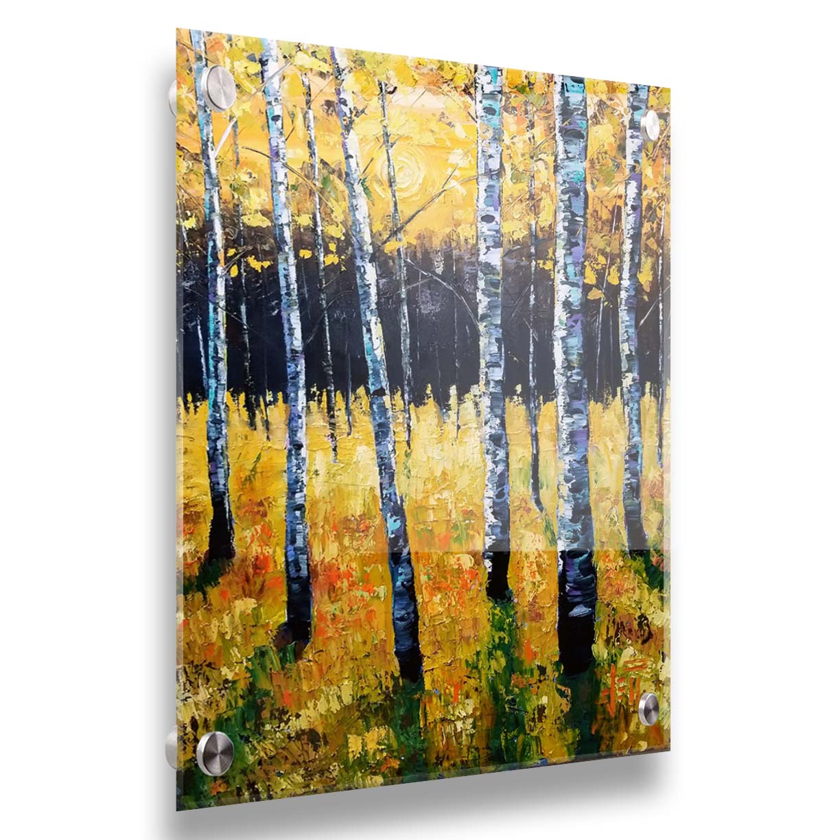 A painting of an aspen forest with yellow leaves. Sunlight shines boldly down through the trees, creating deep green shadows on the ground below. Printed on acrylic.