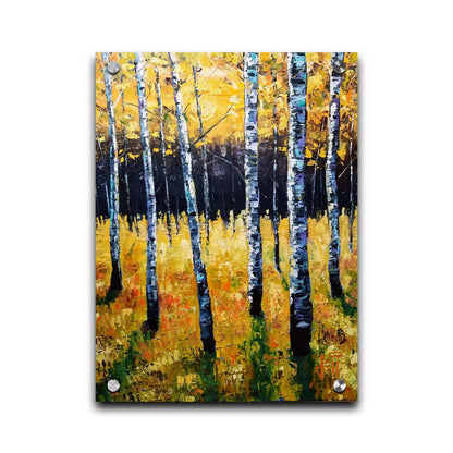 A painting of an aspen forest with yellow leaves. Sunlight shines boldly down through the trees, creating deep green shadows on the ground below. Printed on acrylic.