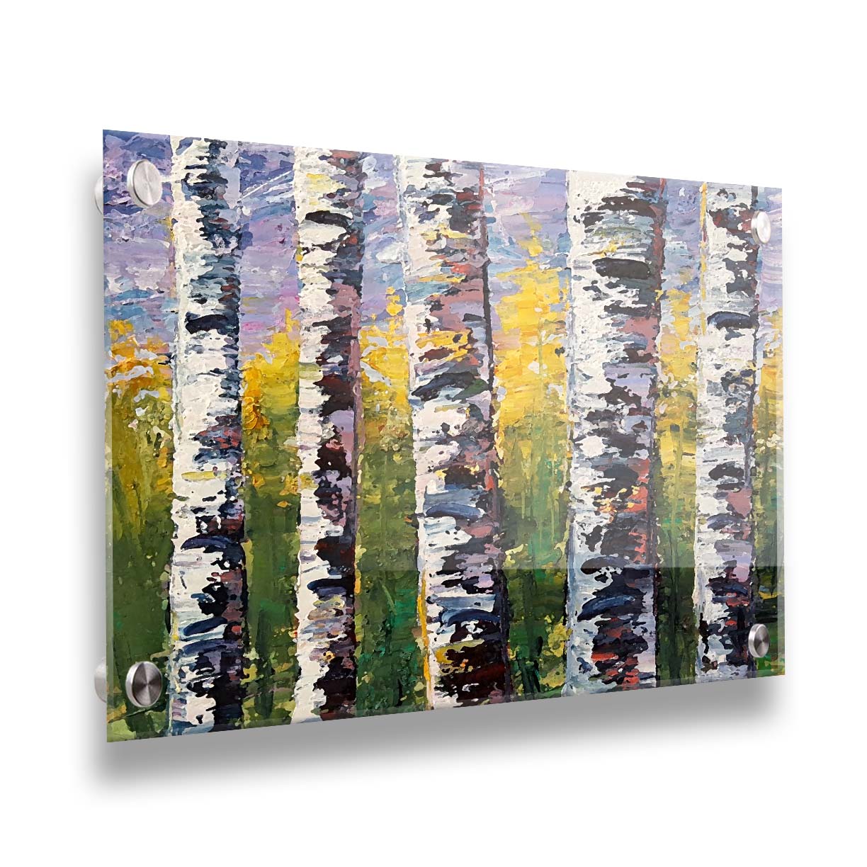 A painting of a closeup line of birch trunks in a green and yellow forest. Printed on acrylic.