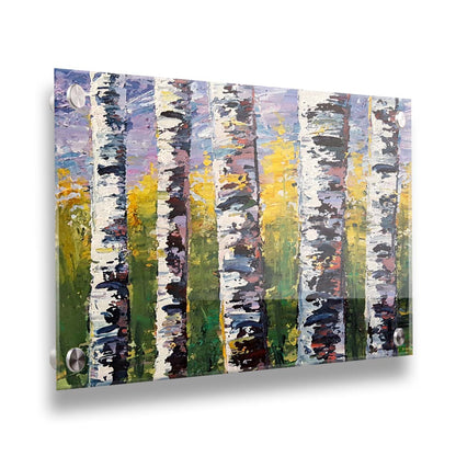 A painting of a closeup line of birch trunks in a green and yellow forest. Printed on acrylic.