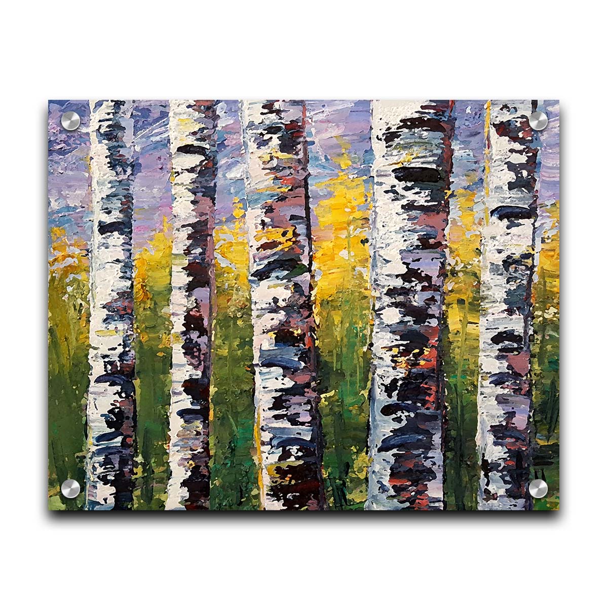 A painting of a closeup line of birch trunks in a green and yellow forest. Printed on acrylic.