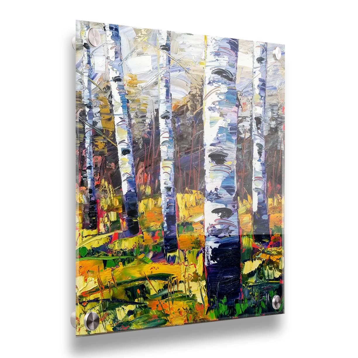 A painting of a birch forest, with vibrant grasses and foliage contrasing the black and white birch trunks. Printed on acrylic.