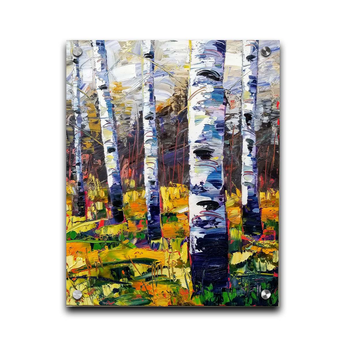 A painting of a birch forest, with vibrant grasses and foliage contrasing the black and white birch trunks. Printed on acrylic.