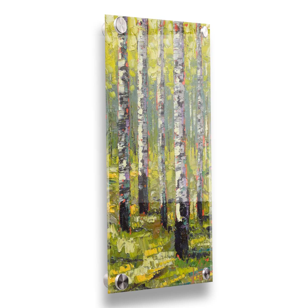 A painting of a bright green forest of birch trees. Printed on acrylic.