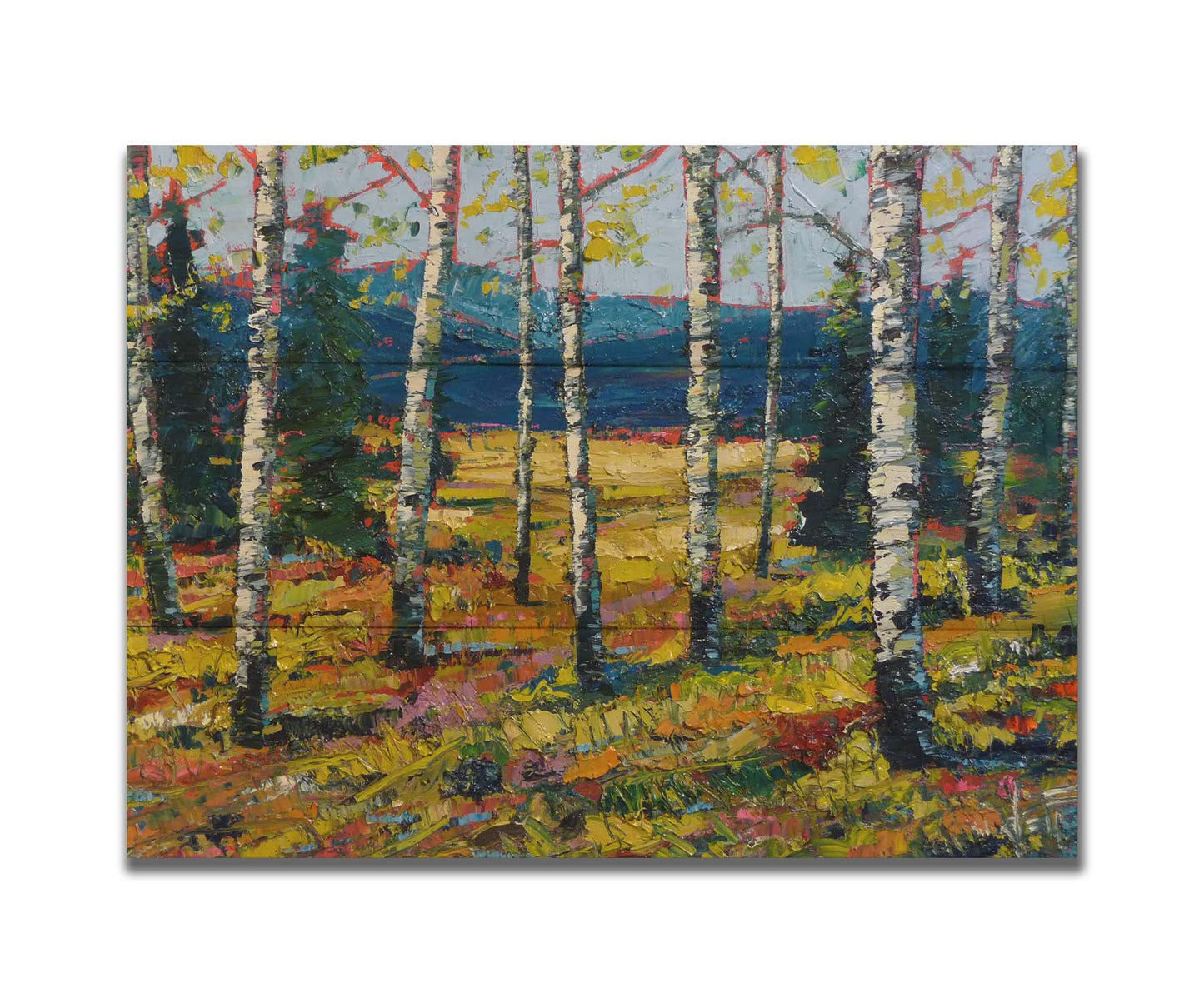 An expressive painting of a forest of birch trees, with vibrant green leaves. Printed on a box board.