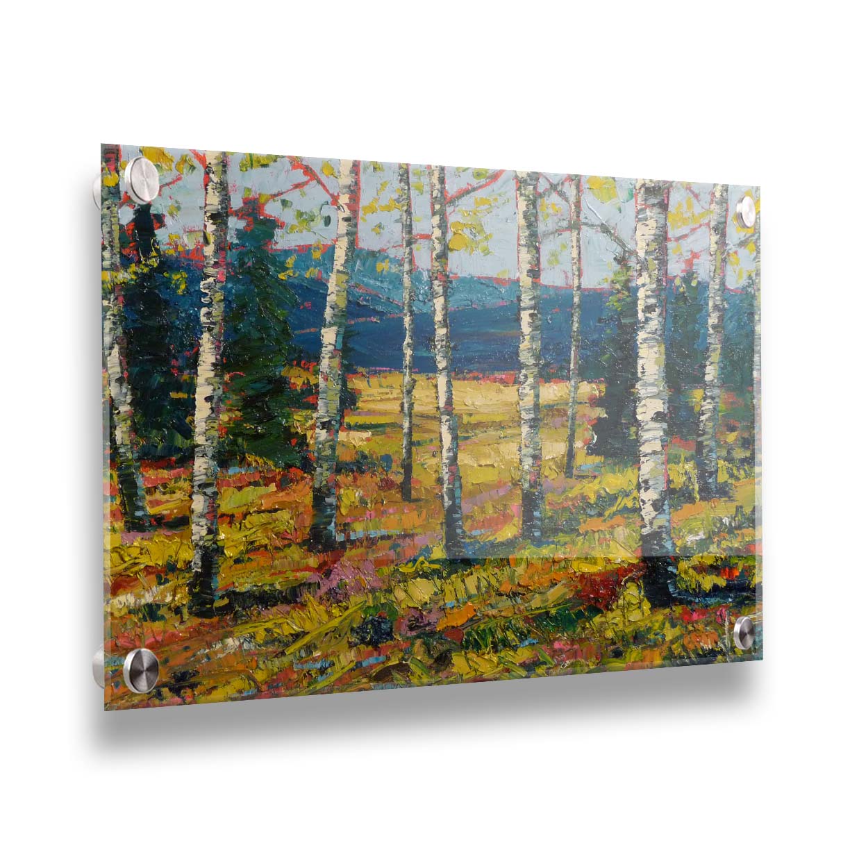 An expressive painting of a forest of birch trees, with vibrant green leaves. Printed on acrylic.