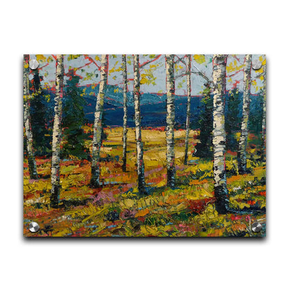 An expressive painting of a forest of birch trees, with vibrant green leaves. Printed on acrylic.