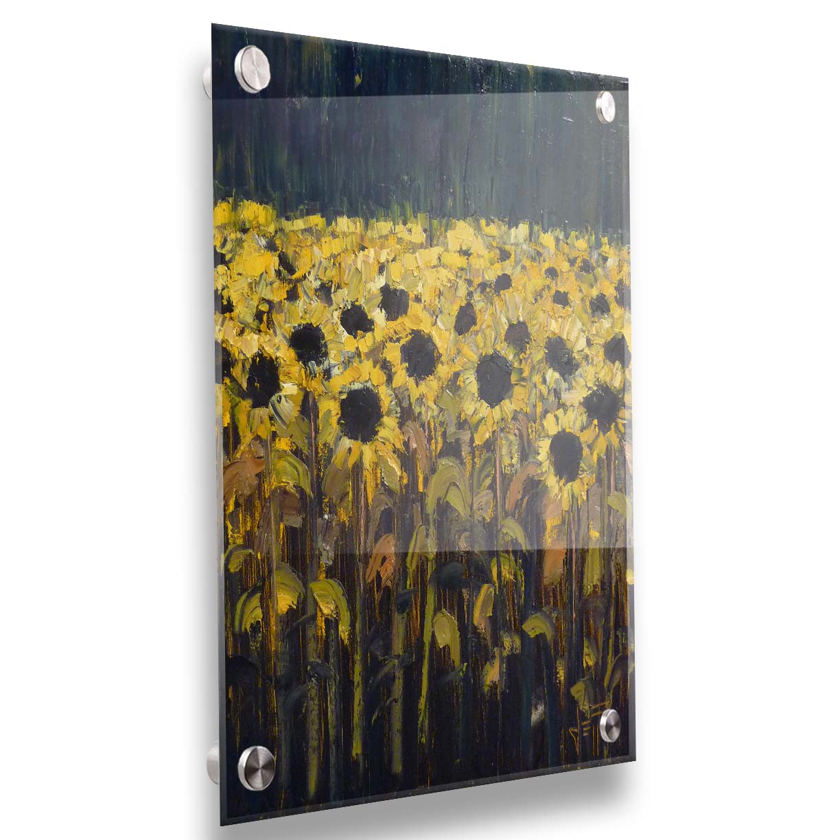 A painting of sunflowers against a dark background. The desaturated palette invokes the feeling of the moment before a storm. Printed on acrylic.