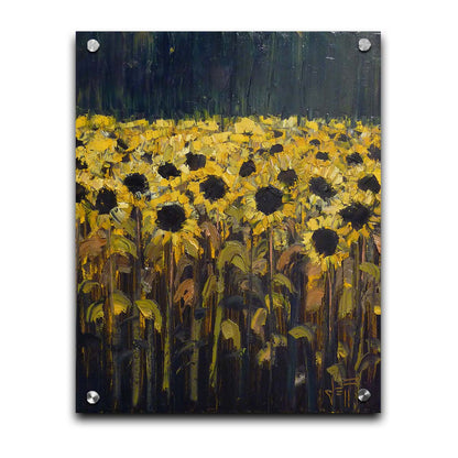 A painting of sunflowers against a dark background. The desaturated palette invokes the feeling of the moment before a storm. Printed on acrylic.