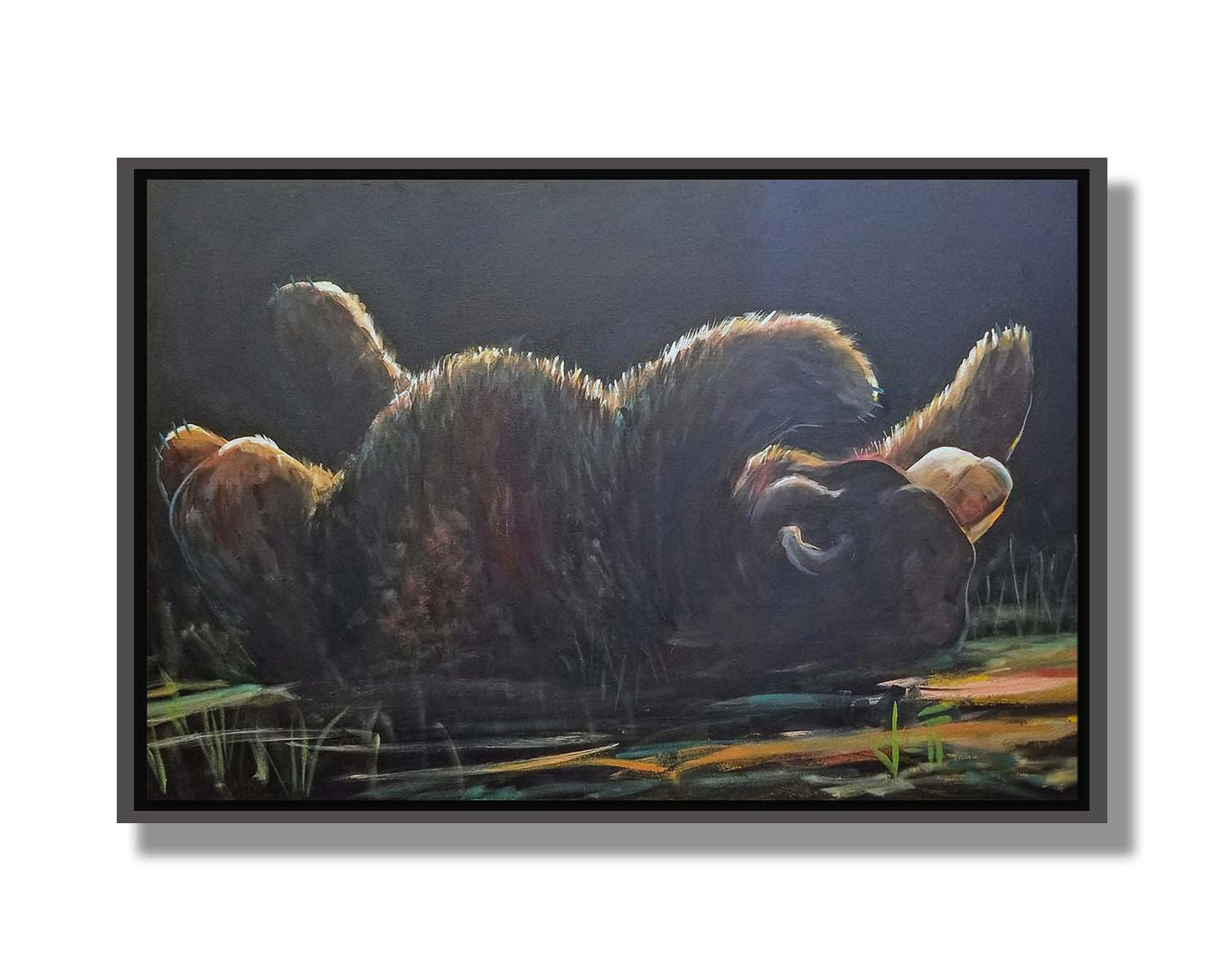 A painting of a bear rolling onto its back, with a dark background. Printed on canvas in a float frame.