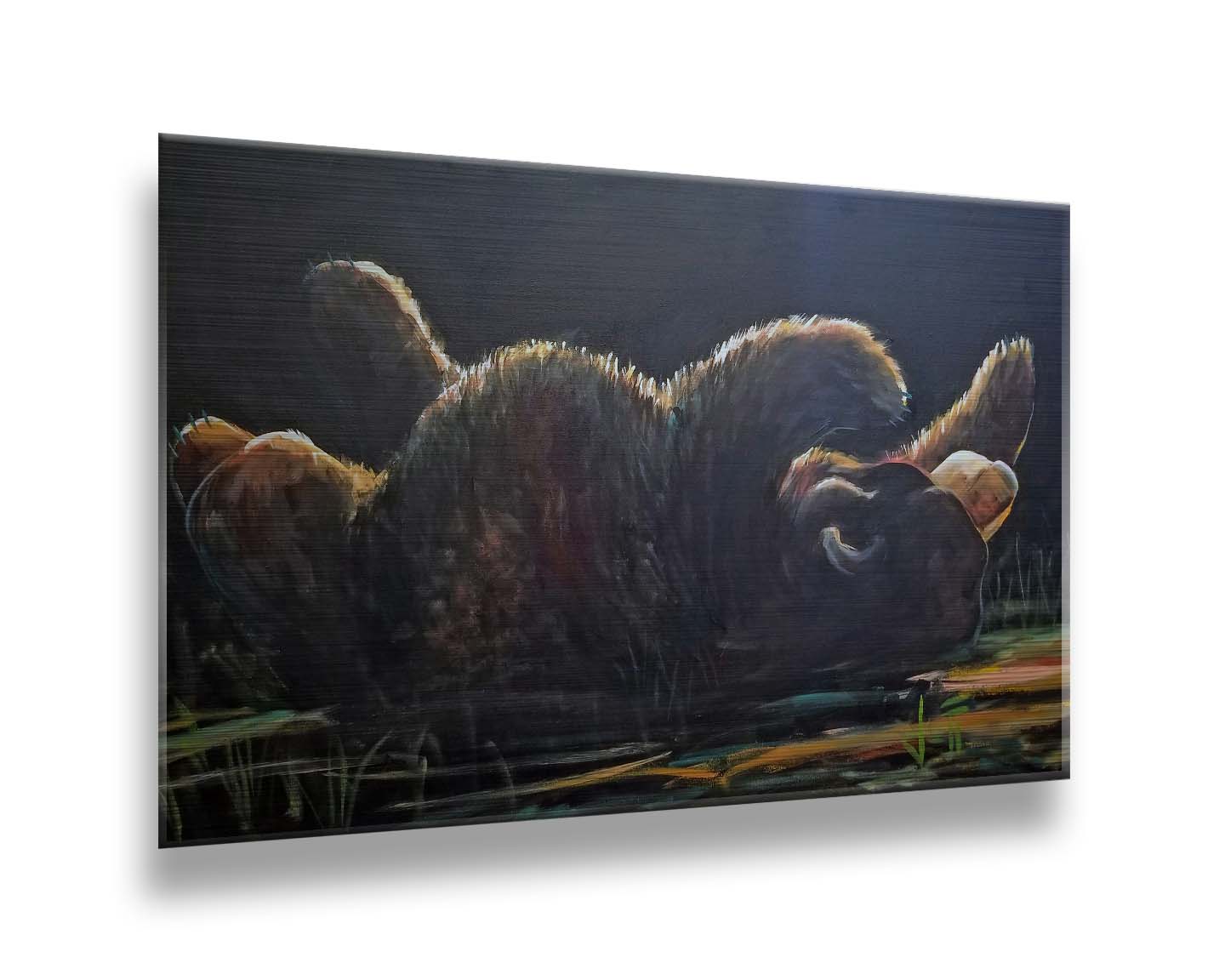 A painting of a bear rolling onto its back, with a dark background. Printed on metal.