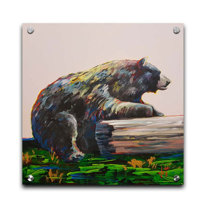 A painting of a bear accented with red, yellow, and blue sitting against a log on bright green grass with a pale pink background. Printed on acrylic.