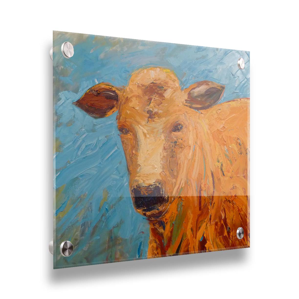 An expressive painting of an orange-brown cow's face against a blue background. Printed on acrylic.