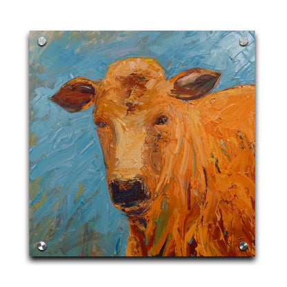 An expressive painting of an orange-brown cow's face against a blue background. Printed on acrylic.