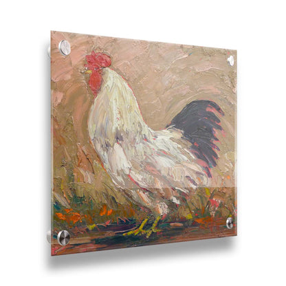 An expressive painting of a rooster against a tan background. Printed on acrylic.