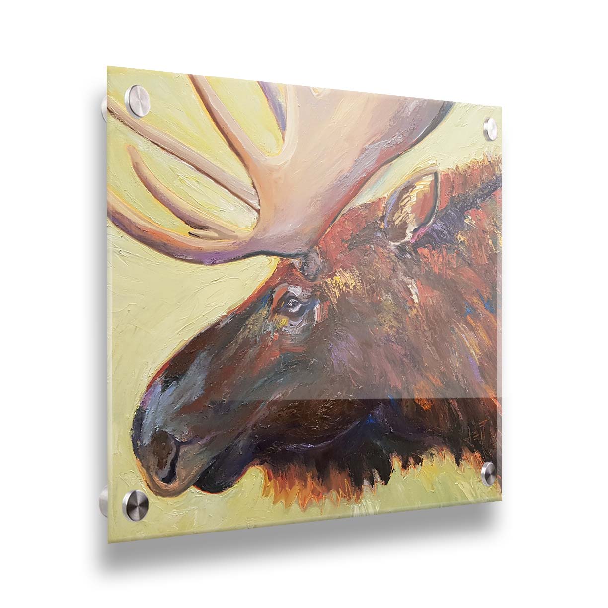 An expressive painting of a moose's face against a pale yellow background. Printed on acrylic.