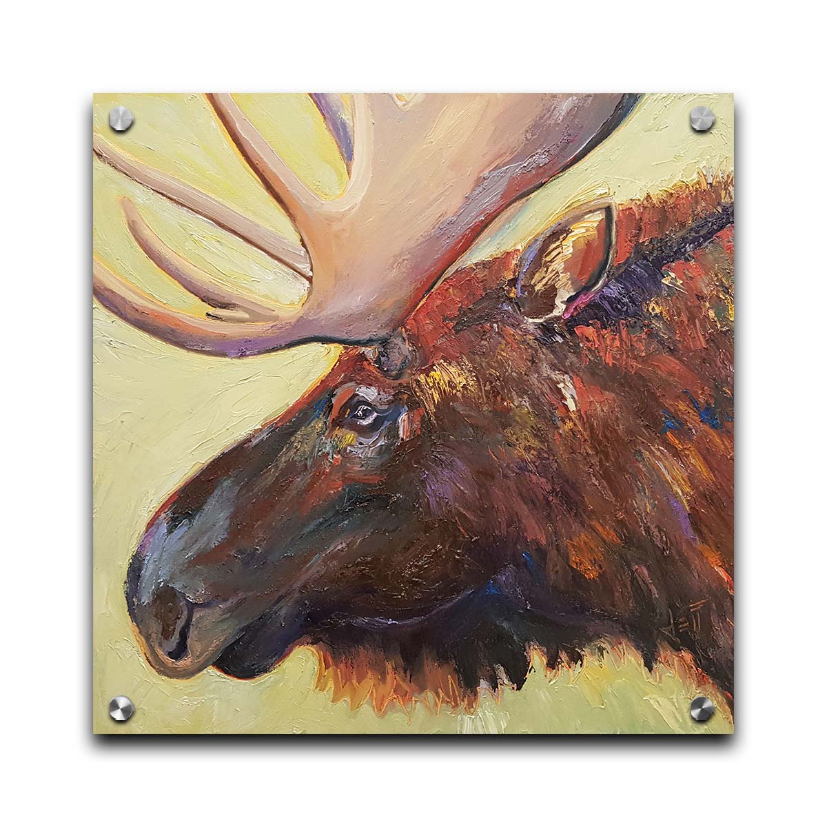 An expressive painting of a moose's face against a pale yellow background. Printed on acrylic.