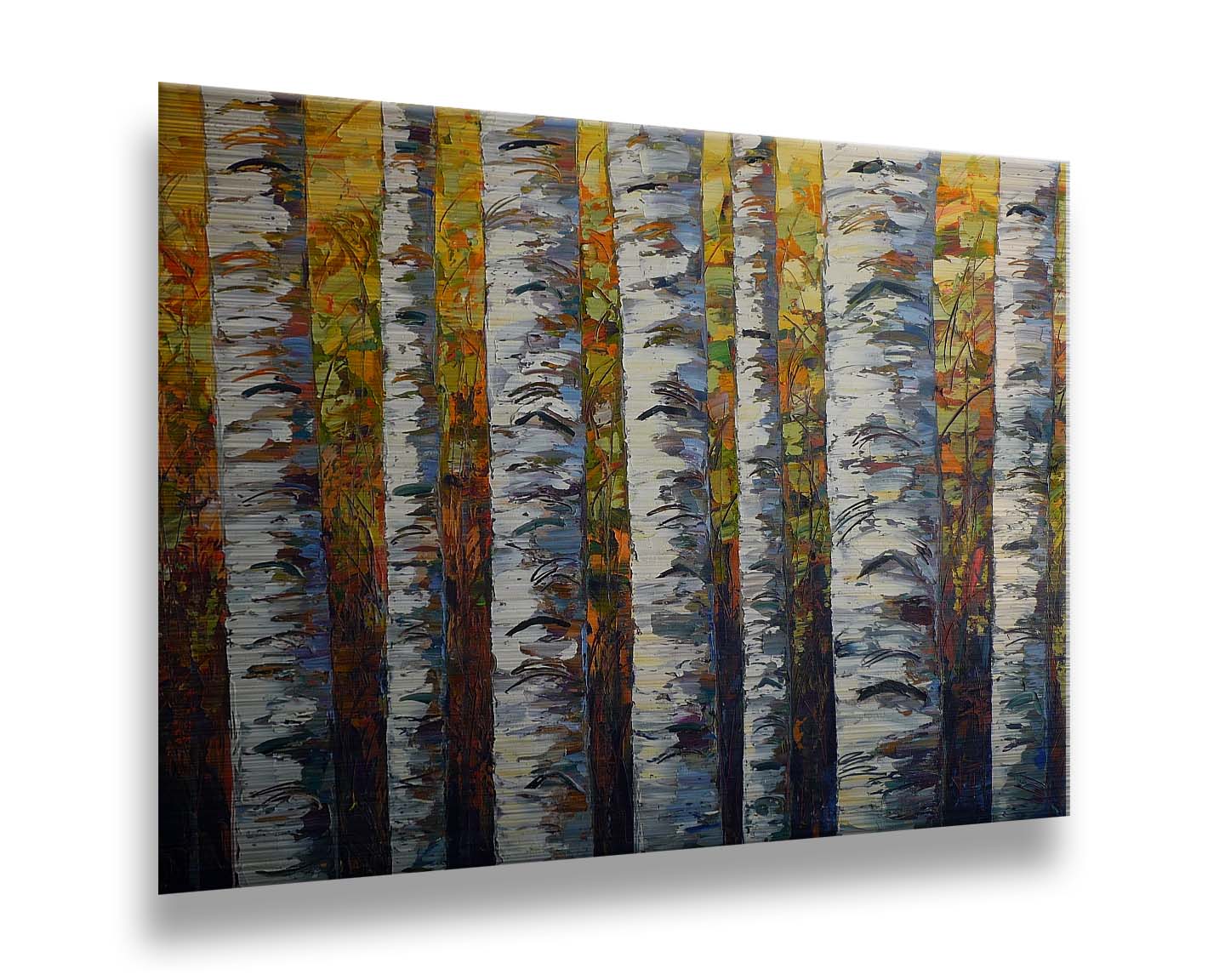 A painting of a birch forest, close up on the white trunks on a background of yellow, orange, and green leaves. Printed on metal.