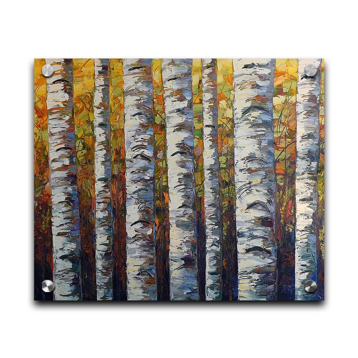 A painting of a birch forest, close up on the white trunks on a background of yellow, orange, and green leaves. Printed on acrylic.