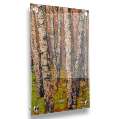 A painting of a birch forest in brown, with heavily textured palette knife paint layers. Printed on acrylic.