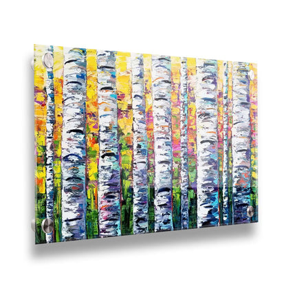 A vibrant painting of white birch trunks, with a background of yellow, pink, and green leaves. Printed on acrylic.