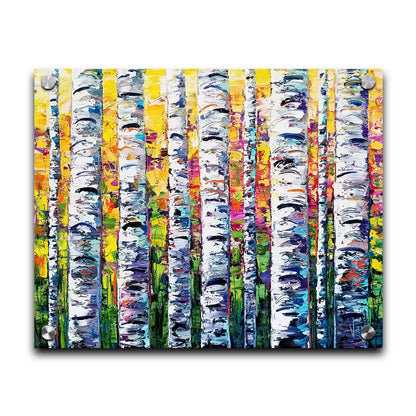 A vibrant painting of white birch trunks, with a background of yellow, pink, and green leaves. Printed on acrylic.