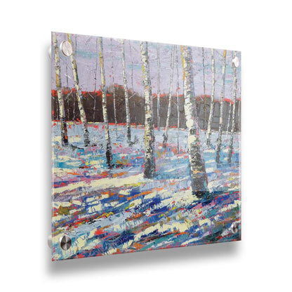 A painting of a snowy forest of birch trees, created with large brushstrokes and contrasting arbitrary color accents. Printed on acrylic.