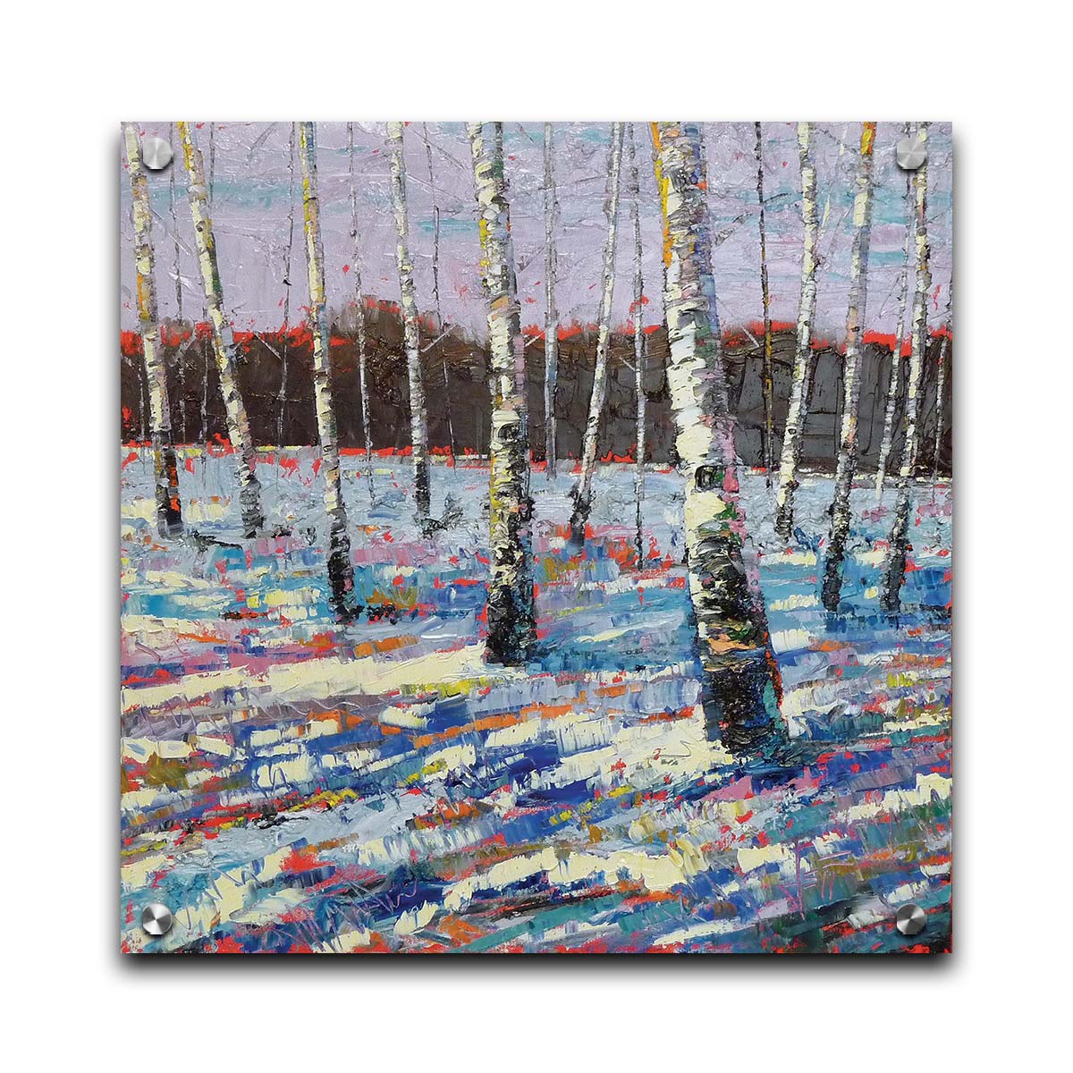 A painting of a snowy forest of birch trees, created with large brushstrokes and contrasting arbitrary color accents. Printed on acrylic.