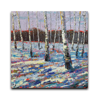 A painting of a snowy forest of birch trees, created with large brushstrokes and contrasting arbitrary color accents. Printed on acrylic.