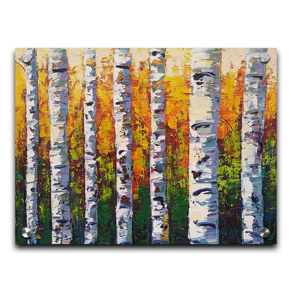 A painting of a birch forest, the stark white tree trunks contrasted by the vibrant green grass and orange leaves of the rest of the forest behind them. Printed on acrylic.