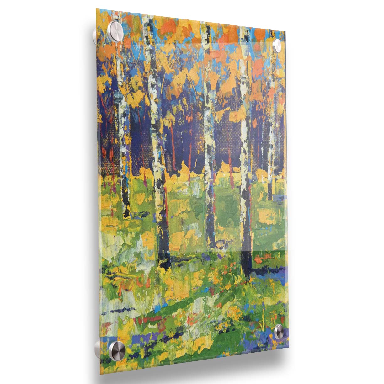 A painting of a birch forest in autumn, the yellow and orange tree leaves contrasted against a purple and blue forest and sky. Printed on acrylic.