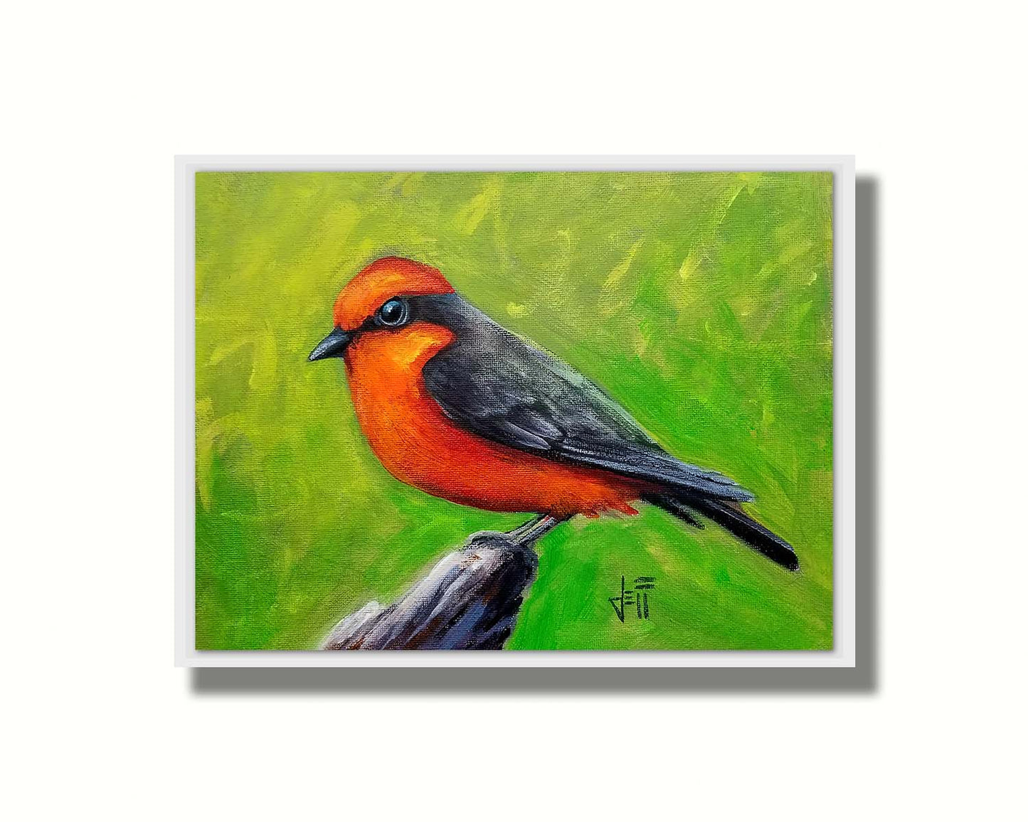 A painting of a vermilion flycatcher bird, with red and black feathers, perched on a piece of wood before a green background. Printed on canvas in a float frame.