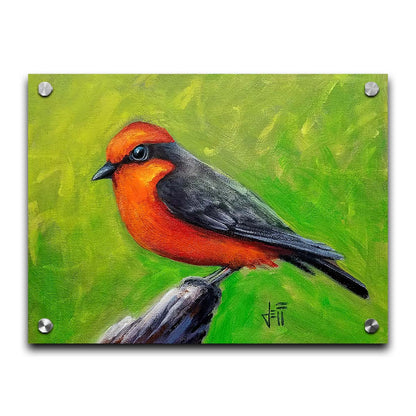 A painting of a vermilion flycatcher bird, with red and black feathers, perched on a piece of wood before a green background. Printed on acrylic.