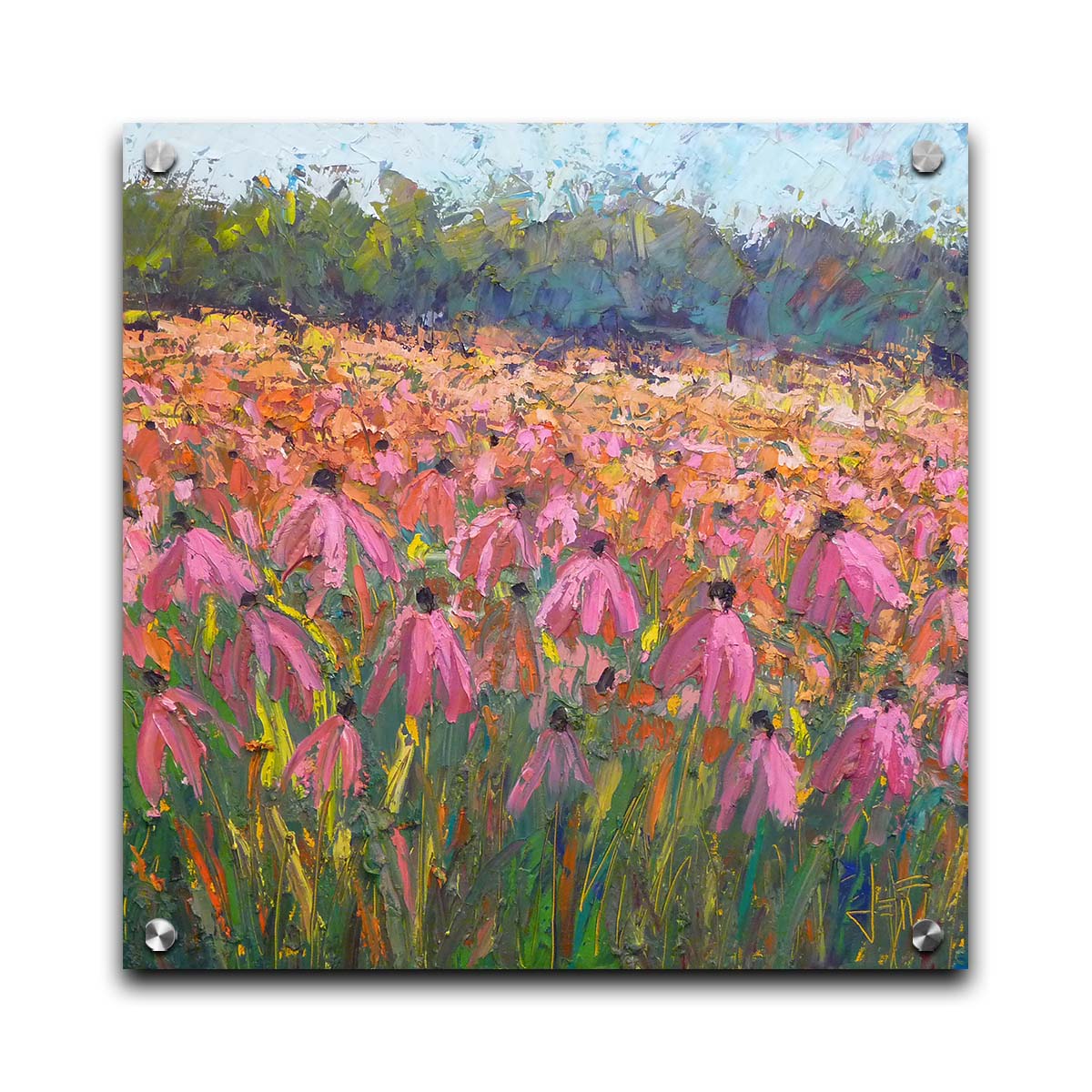 A painting of a field of pink coneflowers, with expressive visible brushstrokes and thick paint that add texture and movement to the landscape. Printed on acrylic.