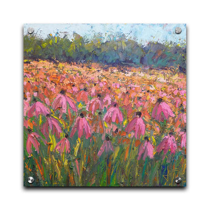 A painting of a field of pink coneflowers, with expressive visible brushstrokes and thick paint that add texture and movement to the landscape. Printed on acrylic.