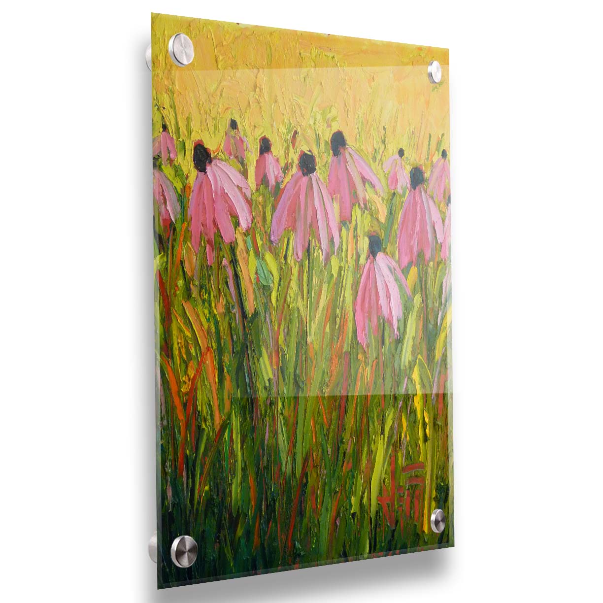 A painting of pink coneflowers, created with visible brushstrokes that add depth and texture. Printed on acrylic.