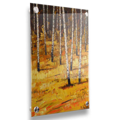 A painting of a birch forest during autumn. Yellow and orange grasses compliment the browns of the birch trees and background. Printed on acrylic.