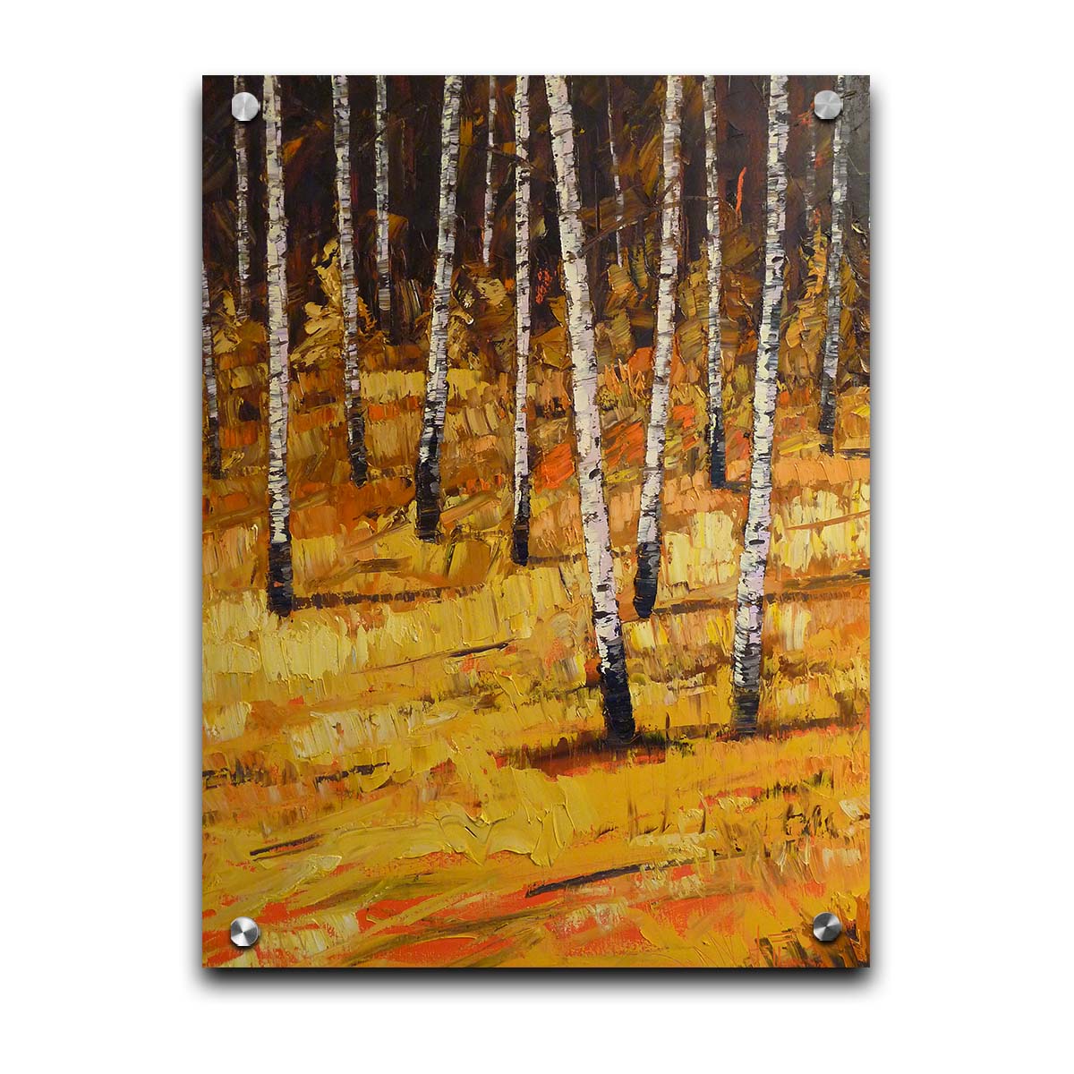 A painting of a birch forest during autumn. Yellow and orange grasses compliment the browns of the birch trees and background. Printed on acrylic.