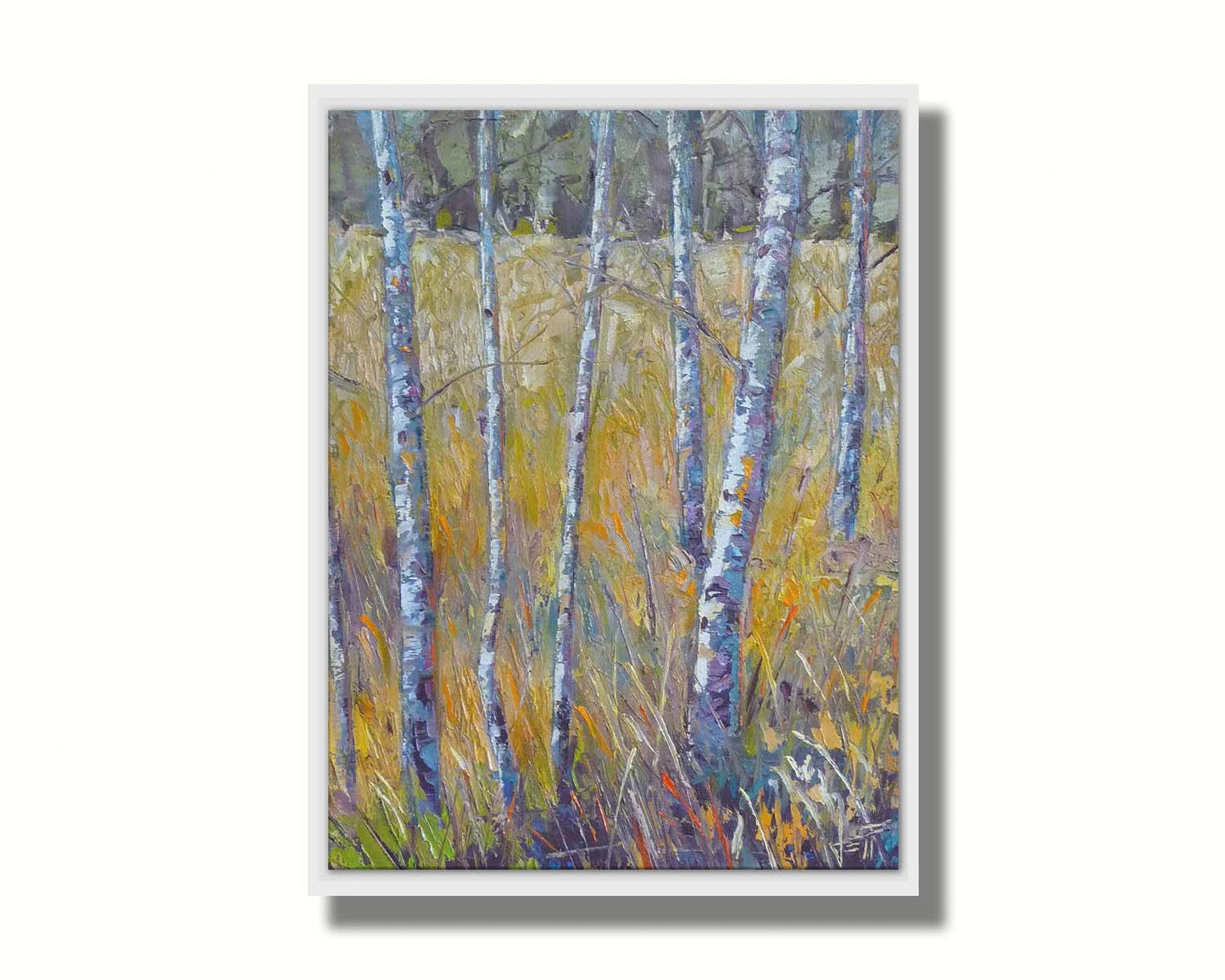 A painting of birch trunks growing surrounded by yellow grasses of fall. Printed on canvas in a float frame.