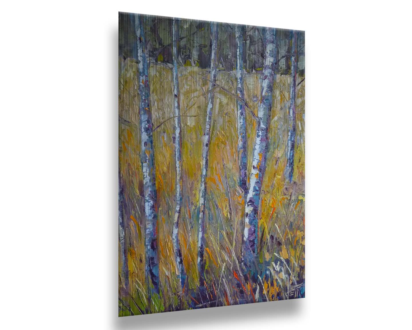 A painting of birch trunks growing surrounded by yellow grasses of fall. Printed on metal.