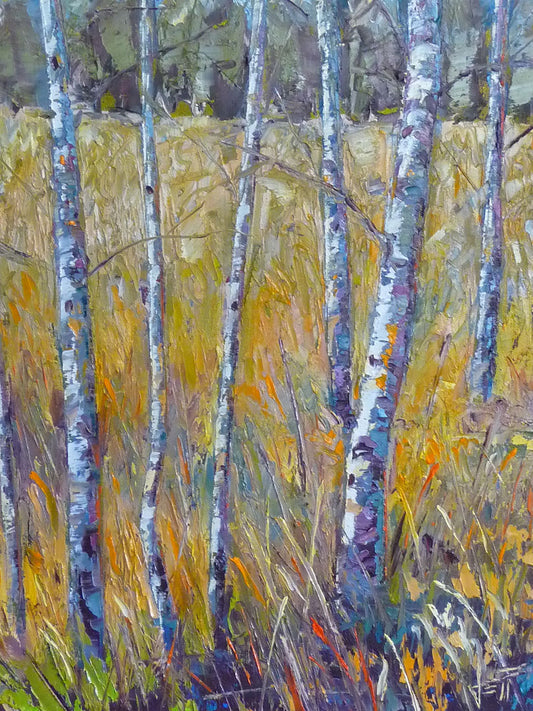 A painting of birch trunks growing surrounded by yellow grasses of fall. 