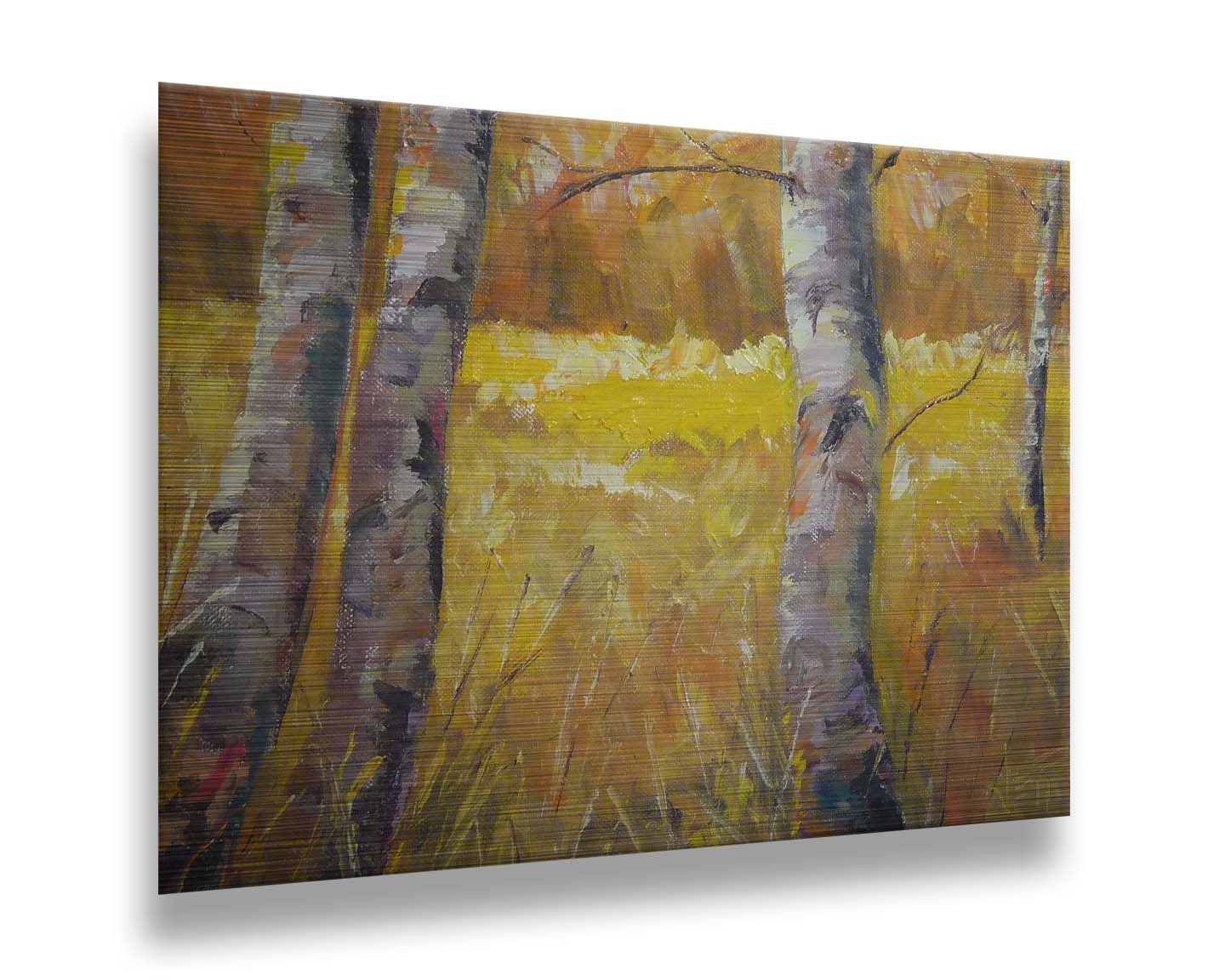 A painting of gray tree trunks among golden yellow grass. The forest in the distance have orange leaves for fall. Printed on metal.