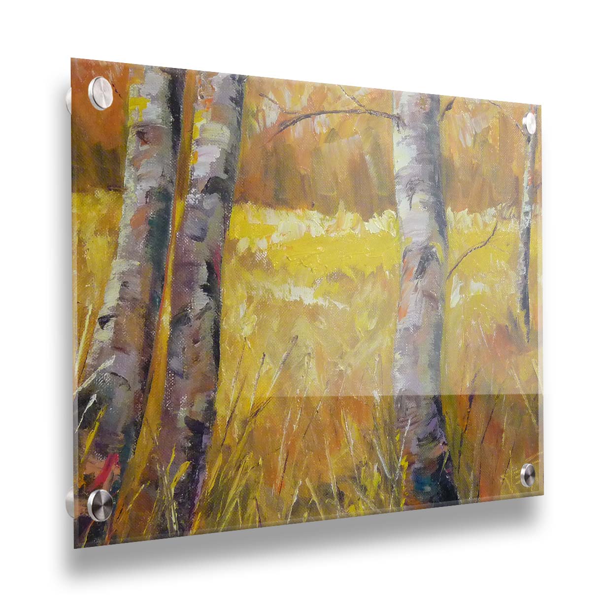 A painting of gray tree trunks among golden yellow grass. The forest in the distance have orange leaves for fall. Printed on acrylic.