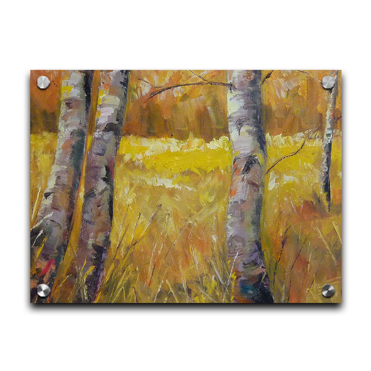 A painting of gray tree trunks among golden yellow grass. The forest in the distance have orange leaves for fall. Printed on acrylic.